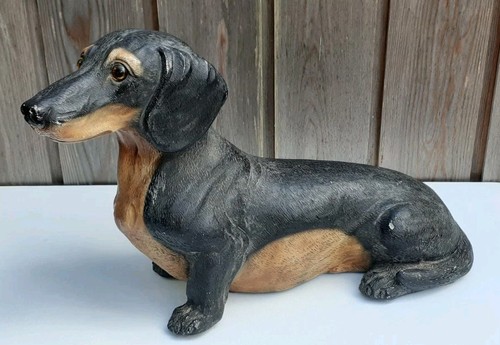 Black tan dachshund sausage - dachshund,