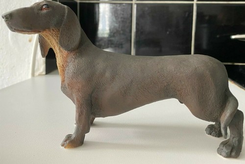 Leonardo dachshund sausage - sausage, dog