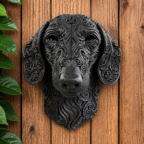 Black sausage dachshund - black, breed