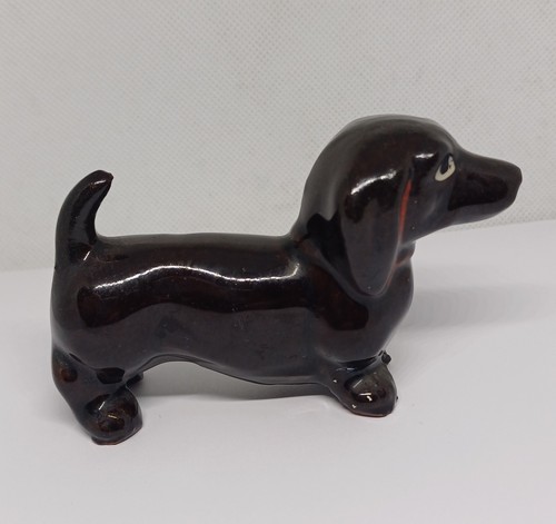 Dachshund sausage dog - dachshund,
