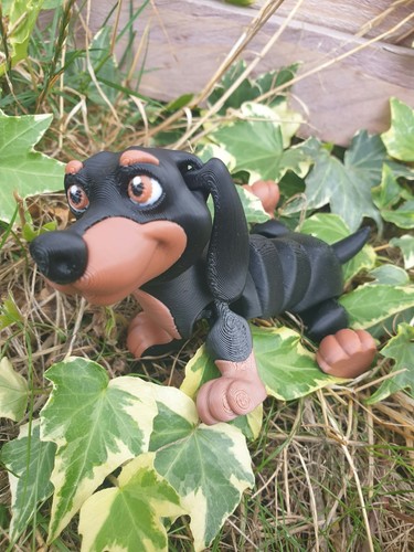 Cute dachshund dog articulated - dachshund,