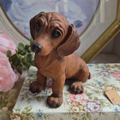 Brown dachshund sausage - dachshund,