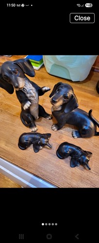 Hhh black dachshund dog - black,